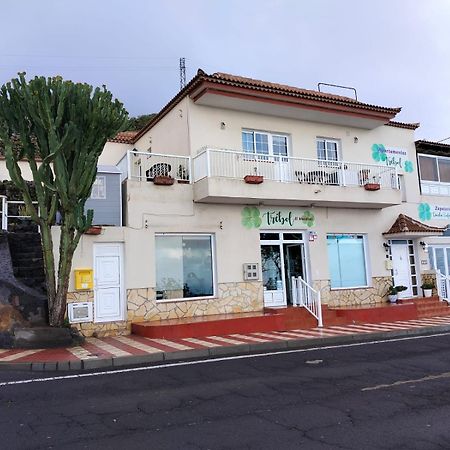 Apartamentos Trebol Mocanal Bagian luar foto