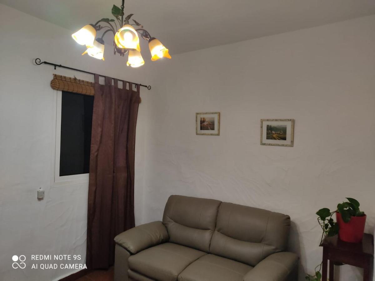 Apartamentos Trebol Mocanal Bagian luar foto